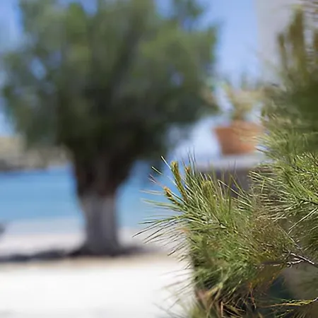 Seaside Kythnos Dhriopís